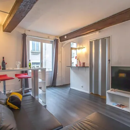 A 4 Mn De Grenette Hypercentre Appartement Grenoble