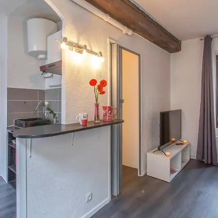 Apartment A 4 Mn De Grenette Hypercentre Grenoble